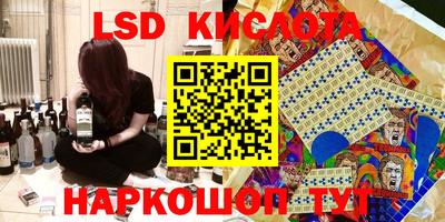 стафф Гатчина