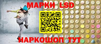 стафф Гатчина