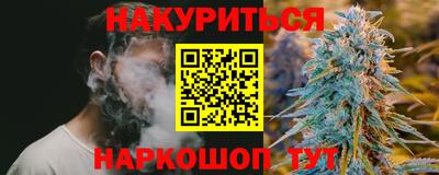 стафф Гатчина