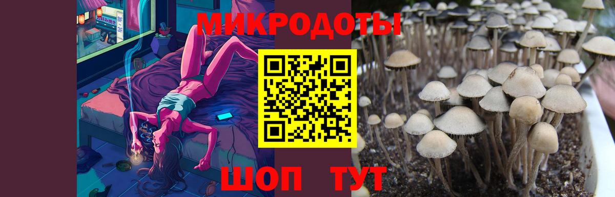 Галлюциногенные грибы мицелий Мелеуз
